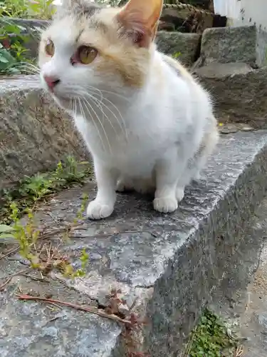 宝土寺(広島県)