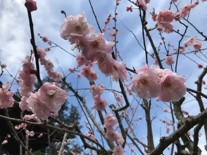 洞春寺(山口県)