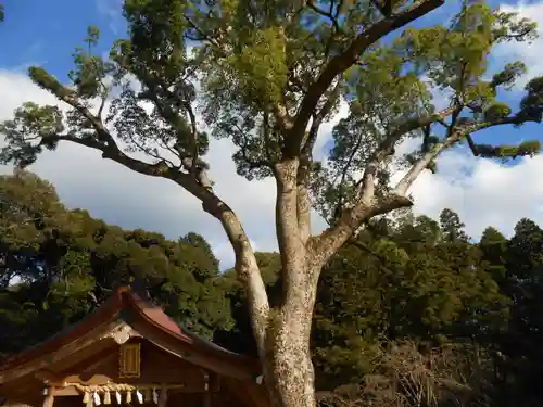 宝満宮竈門神社(福岡県)