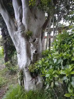 道祖神社(千葉県)