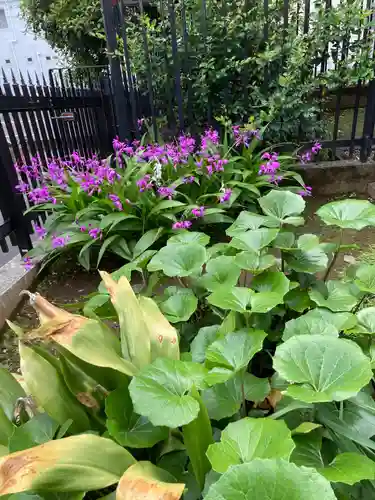 室泉寺(東京都)