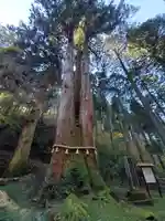 御岩神社の自然