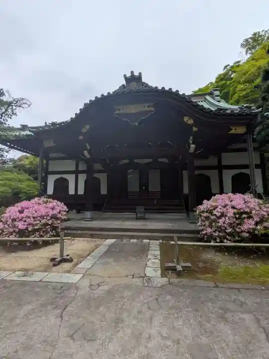 妙本寺(神奈川県)