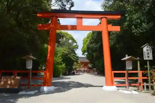 賀茂御祖神社（下鴨神社）の鳥居