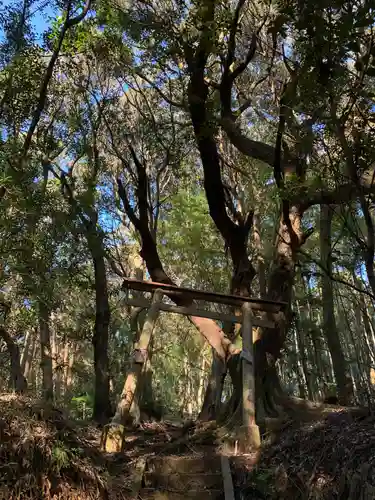 小川神社の鳥居