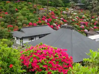 塩船観音寺の自然