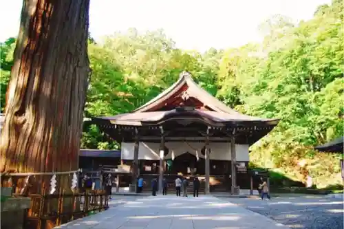 戸隠神社中社の本殿