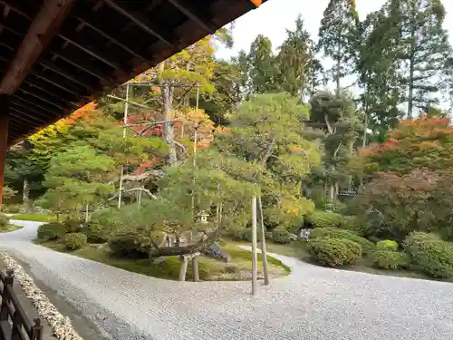 曼殊院門跡(京都府)