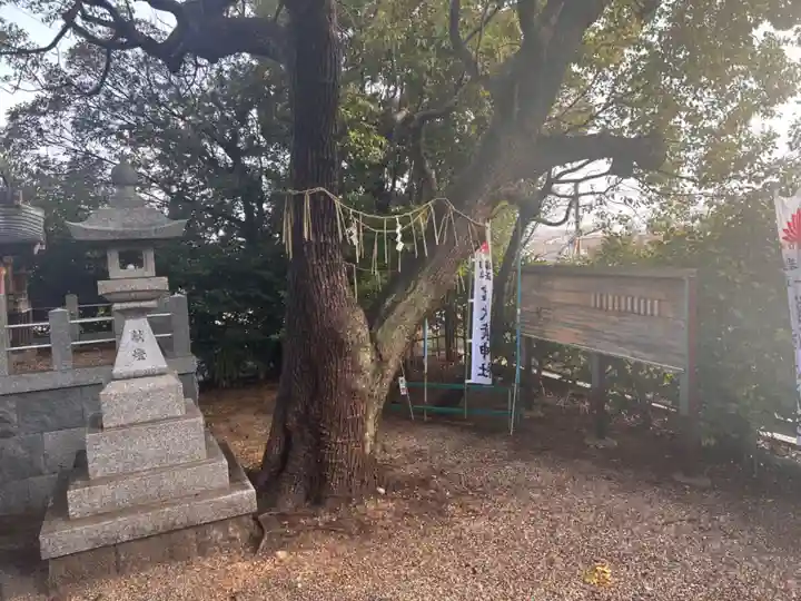 舘秋葉神社(愛知県)