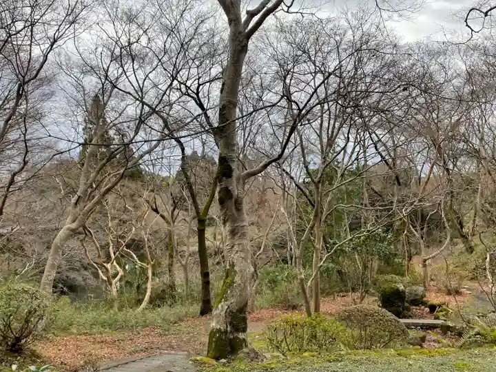 勝持寺(花の寺)(京都府)
