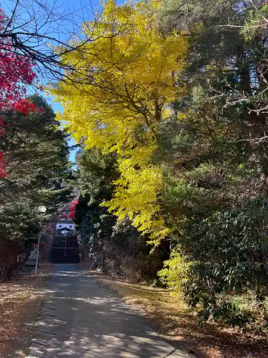 十勝神社の自然