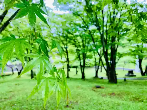 土津神社｜こどもと出世の神さまの庭園