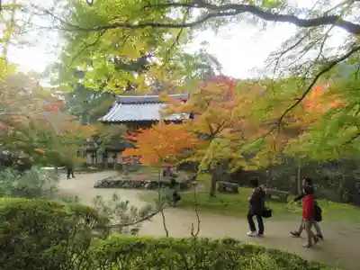 西明寺のその他建物