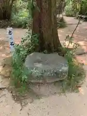 浄瑠璃寺(愛媛県)