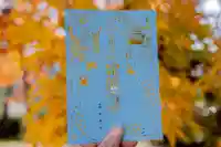 瑠璃光山泉龍寺の御朱印