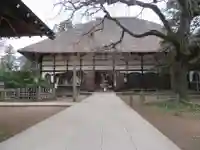 茂林寺の本殿・本堂