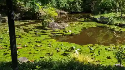 本土寺(千葉県)