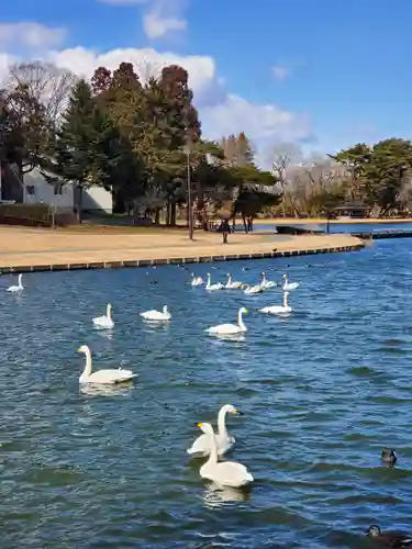 三光稲荷神社(福島県)