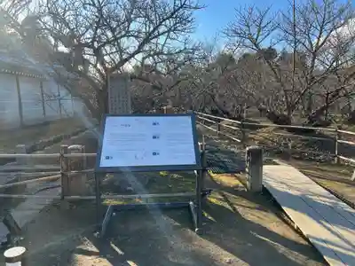 仁和寺のその他建物