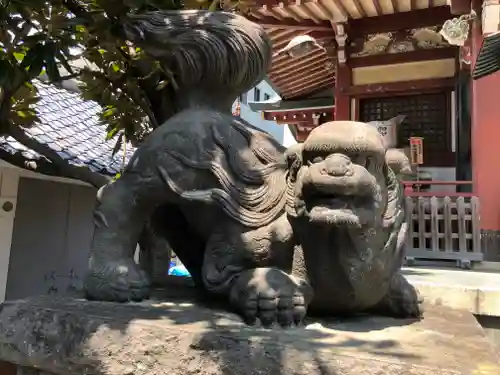 千住本氷川神社の狛犬