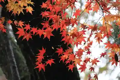 諏訪神社の庭園