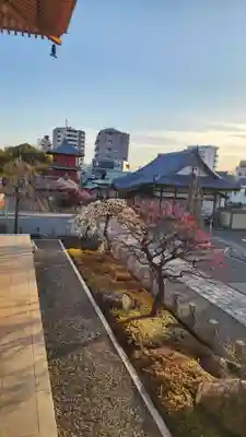 西新井大師総持寺(東京都)