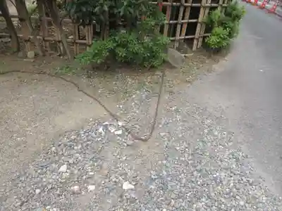 専称寺(東京都)