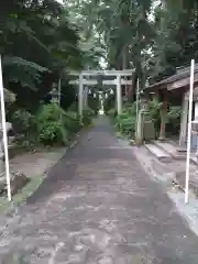 磯山神社の鳥居