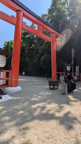賀茂御祖神社（下鴨神社）(京都府)