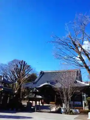 成願寺(東京都)