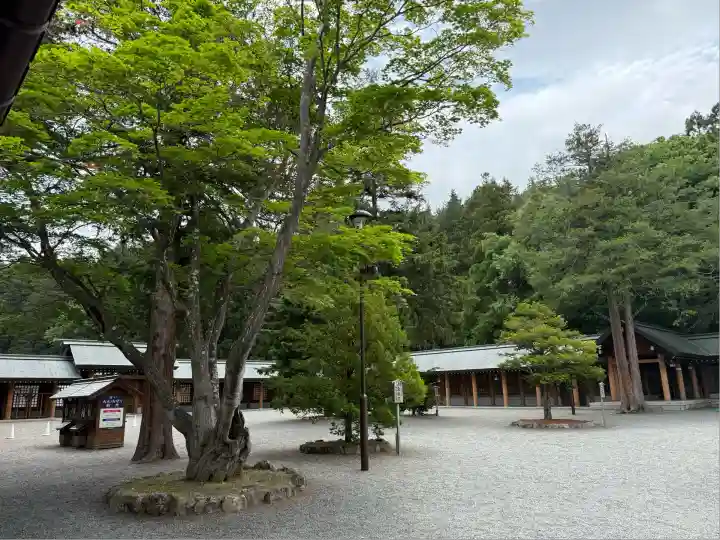 北海道神宮(北海道)