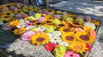 金蛇水神社(宮城県)