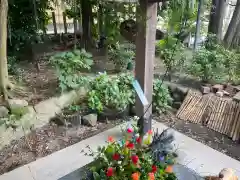 東海市熊野神社の手水