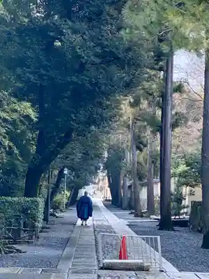 大徳寺(京都府)