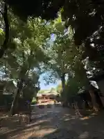 武蔵野八幡宮(東京都)