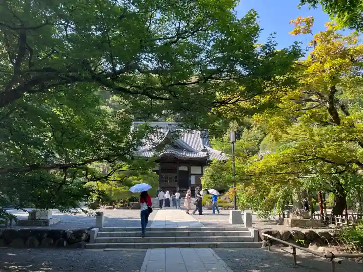 修禅寺の{uncategorized: "未分類", other: "その他", undefined: "問題あり", building: "その他建物", grave: "お墓", sacred_gate: "鳥居", guardian: "狛犬", statue: "像", buddha: "仏像", history: "歴史", nature: "自然", garden: "庭園", animal: "動物", pagoda: "塔", temizu: "手水舎", mountain_gate: "山門・神門", sanctuary: "本殿・本堂", subordinate: "末社・摂社", art: "芸術", scenery: "景色", jizo: "地蔵", ema: "絵馬", goshuin: "御朱印", omikuji: "おみくじ", items: "授与品その他", amulet: "お守り", goshuincho: "御朱印帳", eats: "食事", festival: "お祭り", votive_dance: "神楽", shichigosan: "七五三参", wedding: "結婚式", experience: "体験その他", initially: "初詣", around: "周辺", anti_infection: "感染症対策"}