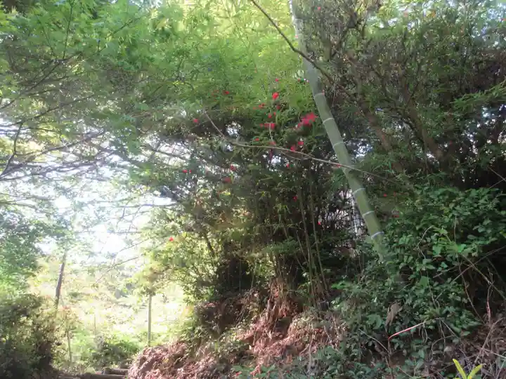正福寺別当米山薬師堂(埼玉県)