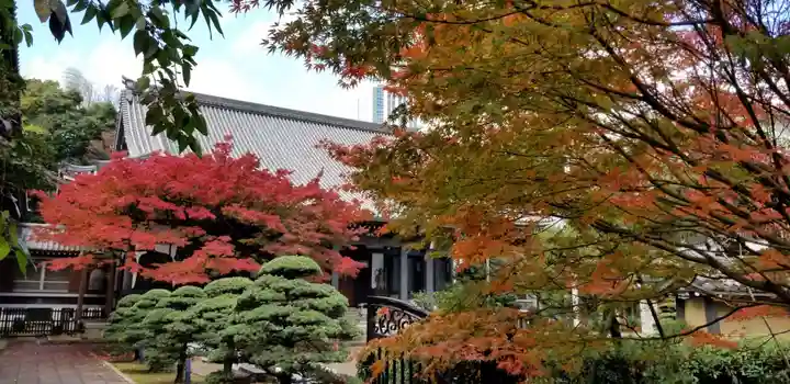 青松寺のその他建物