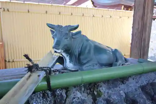 羽田神社の手水