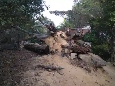 大聖院弥山本堂(広島県)