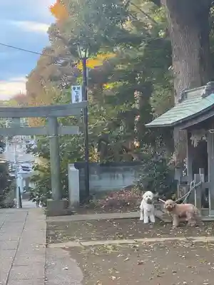 下田神社(神奈川県)