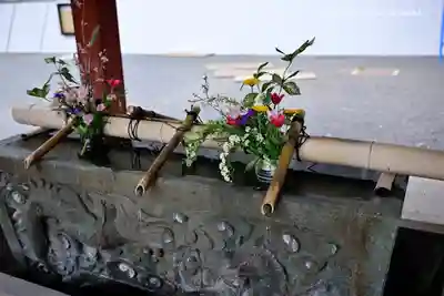 静岡浅間神社の手水舎