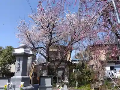 法顕寺(新潟県)