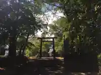 錦山天満宮の鳥居