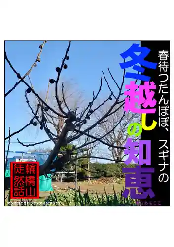 耕田院(山形県)