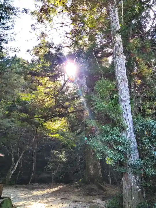 四宮神社の自然