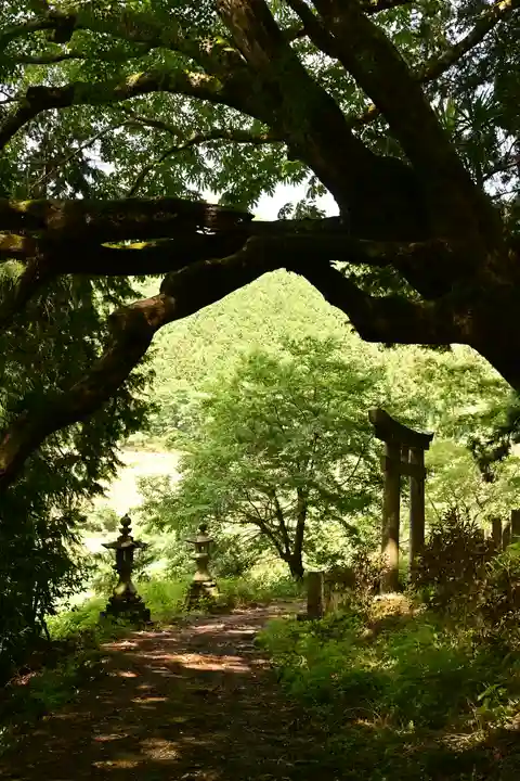 三島神社(愛媛県)