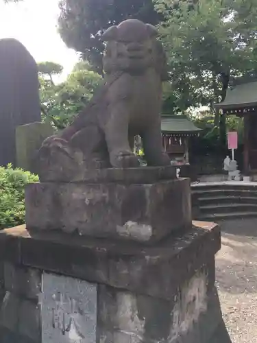 赤羽八幡神社の狛犬