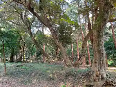 曽許乃御立神社の自然