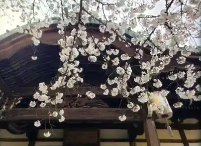 龍光寺(東京都)